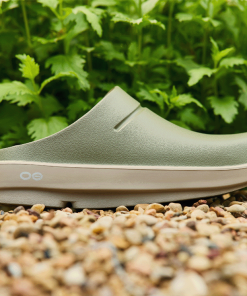 Women's OOcloog Stacked Clog - Foliage